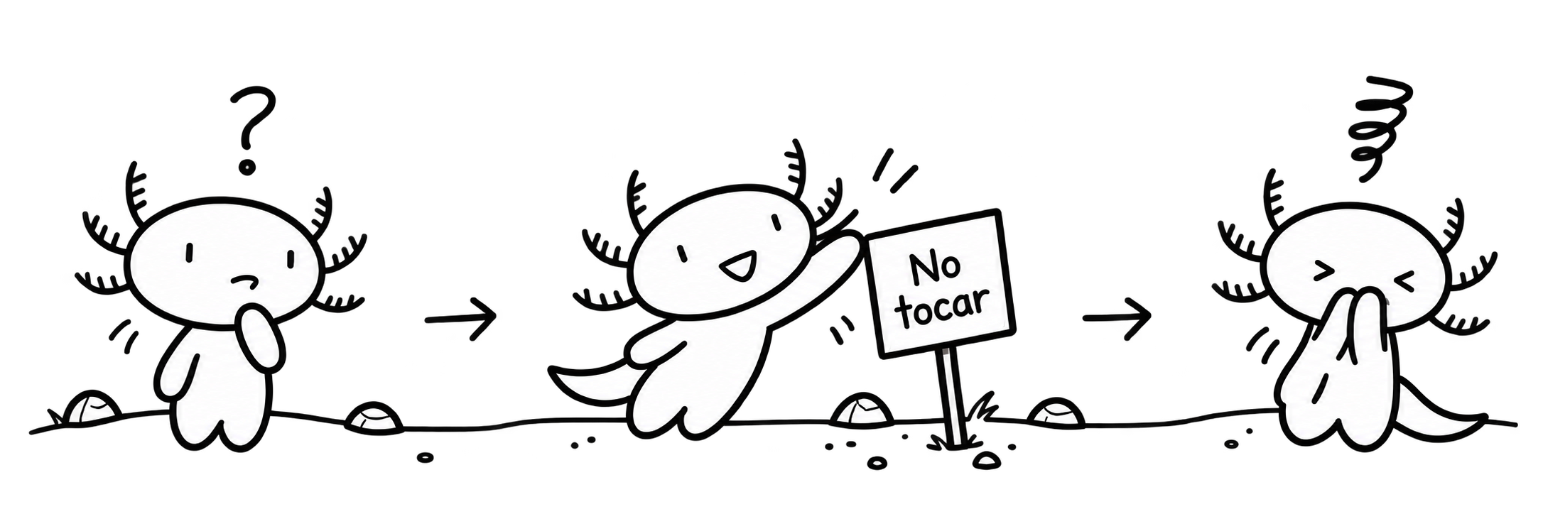 El ajolote se hace una pregunta. El ajolote quiere tocar lo que no debería. El ajolote se tapa la cara después de su experimento.